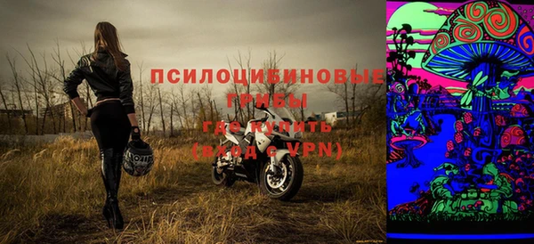 эйфоретик Осташков