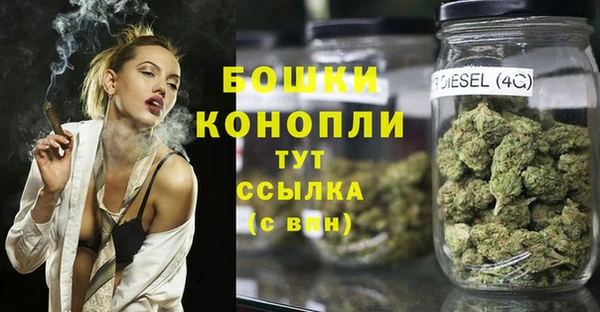 эйфоретик Осташков