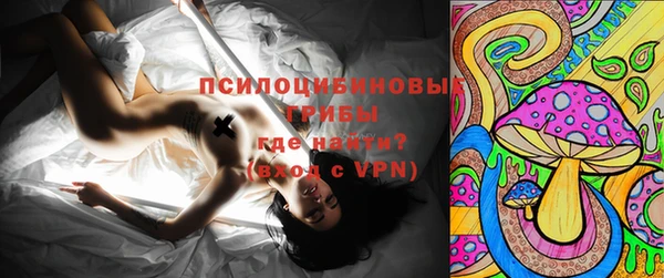эйфоретик Осташков