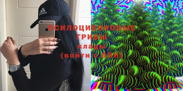 эйфоретик Осташков